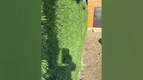 Зеленый забор - видео отзыв