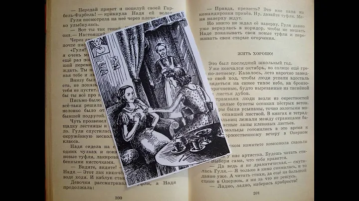Буктрейлер к книге Е. Ильиной "Четвертая высота", МКОУ Дубненская СОШ