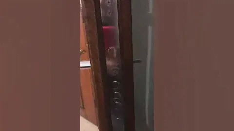 Входные металлические двери Серия ВИП