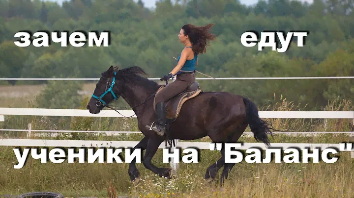 Про то, зачем ехать на тренинг "Баланс", про шелтеры и конный "антиквариат".