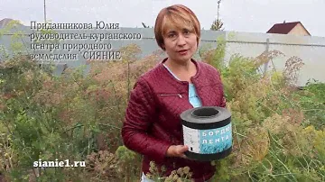 Бордюрная лента на садовом участке