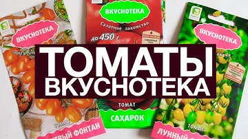 томаты серии ВКУСНОТЕКА 2023 🍅 НОВИНКИ 🍅 Лидеры дегустационных марафонов! Оранжевый фонтан!!!!