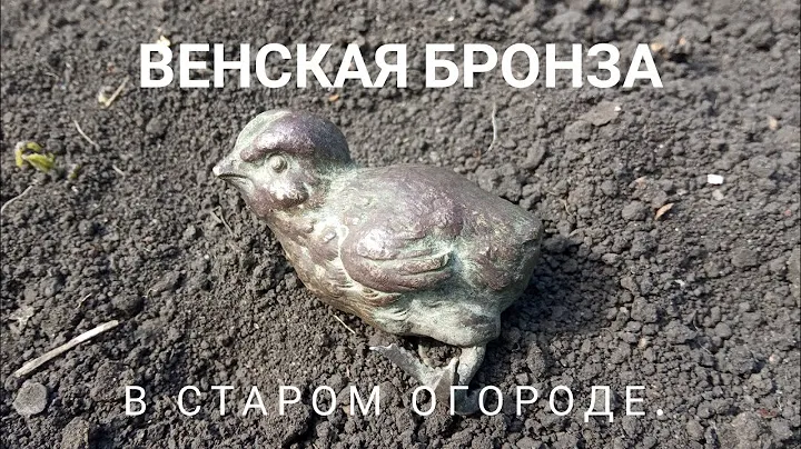 Венская бронза в старом огороде.коп монет.