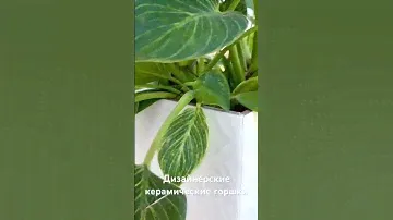 Дизайнерские керамические горшки #горшки #горшкидлярассады #кашпо