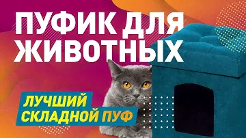 СКЛАДНОЙ ПУФИК С СЕКРЕТОМ ДЛЯ ПИТОМЦЕВ | ОБЗОР НА СКЛАДНОЙ ПУФ
