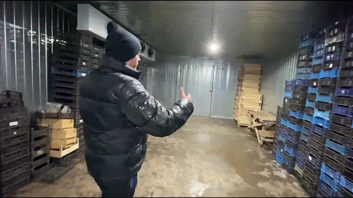 Холодильная камера для ягоды и рассады своими руками