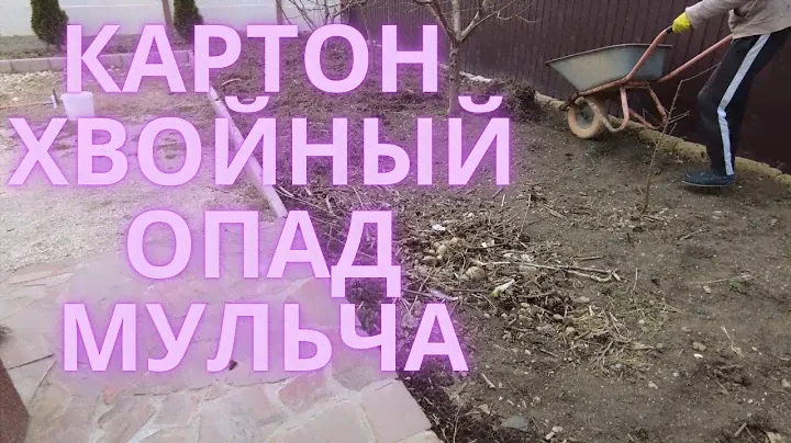 Мульчирование почвы хвойным опадом. Картон как мульча под приствольные круги деревьев