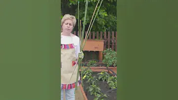 Какие опоры для растений бывают * Как выбрать шпалеры для овощей
