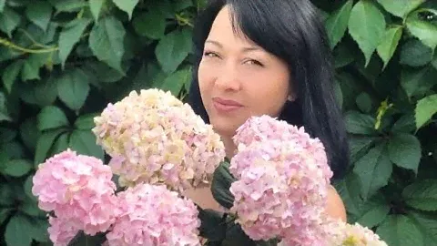 мой самый любимый сорт гортензии БЕСКОНЕЧНОЕ ЛЕТО