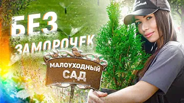 САД МАЛОГО УХОДА 🌱 7 секретов профессионалов. ТОП растений в малоуходный сад