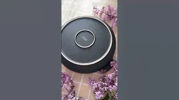 Форма для выпечки TalleR TR-66405 круглая