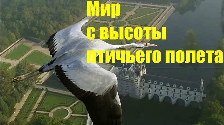 Мир с высоты птичьего полета