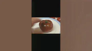 Томат ШОКОЛАДНАЯ ЗЕБРА. ВКУСНЫЙ ПОЛОСАТИК