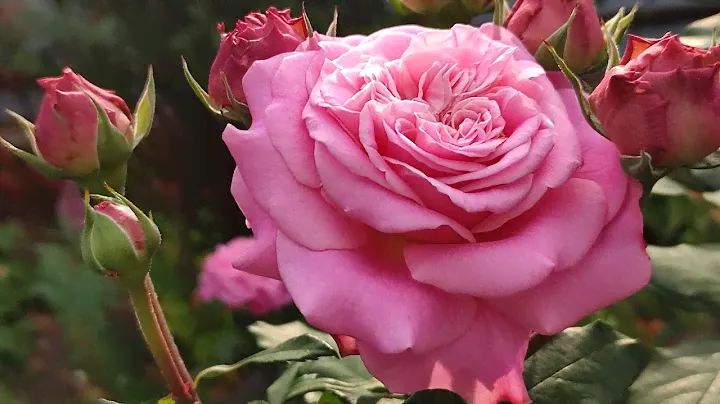 Эшли - её Пышество👑💕