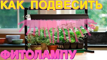 КАК ПОВЕСИТЬ ФИТОЛАМПУ ? Настольные, для подоконников, стойки для стеллажей  - способы крепления.