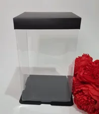 Коробка прозрачная. Чёрное дно и крышка. Высота 28 см, ширина, 17 см.