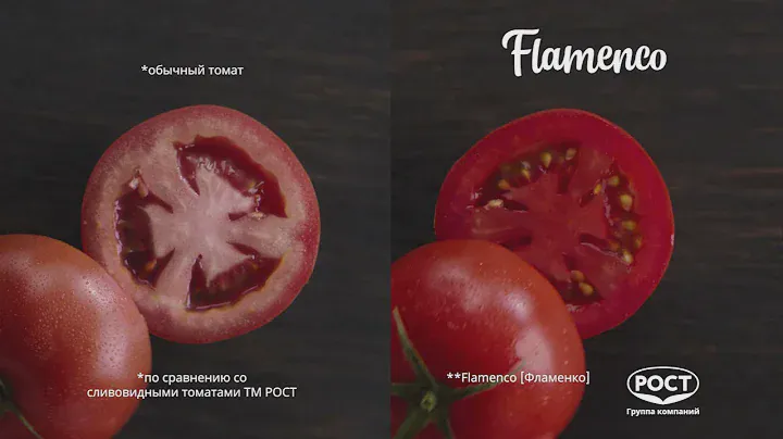 Настоящие красные томаты Flamenco от Группы компаний "РОСТ"