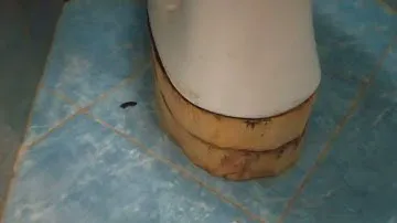 Подиум для унитаза.