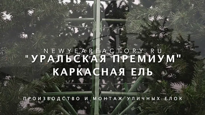 Ель "УРАЛЬСКАЯ ПРЕМИУМ" - 12 метров.