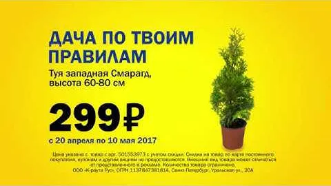 Дача по твоим правилам! Туя за 299 руб. до 10.05.2017 г.